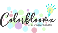Logo Pequeño Colorbloomx